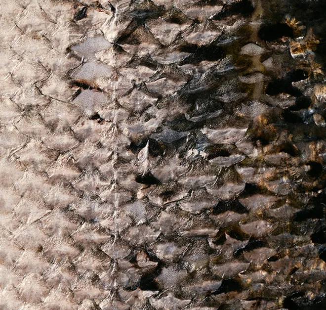 texture