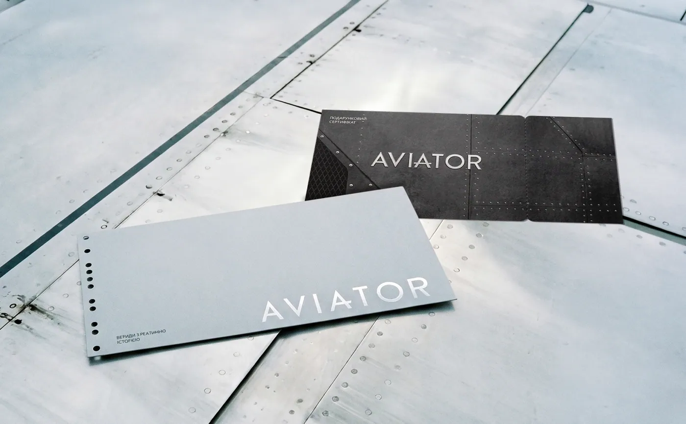 Aviator Group — frame 2